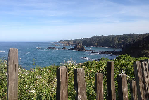 mendocino coastline