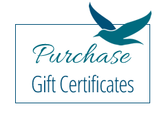 purchase a seagull inn gift certificate